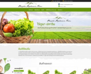 รับทำการตลาดออนไลน์ไร่รีสอร์ท,ทำเว็บไซต์ขายผักผลไม้ราคาถูก