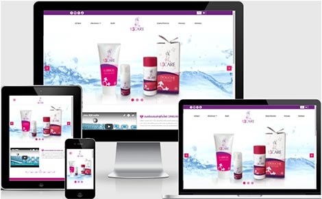 ทำเว็บไซต์ผลิตภัณฑ์ดูแลจุดซ้อนเร้น,รับทำเว็บไซต์ราคาถูกสินค้าทำความสะอาด